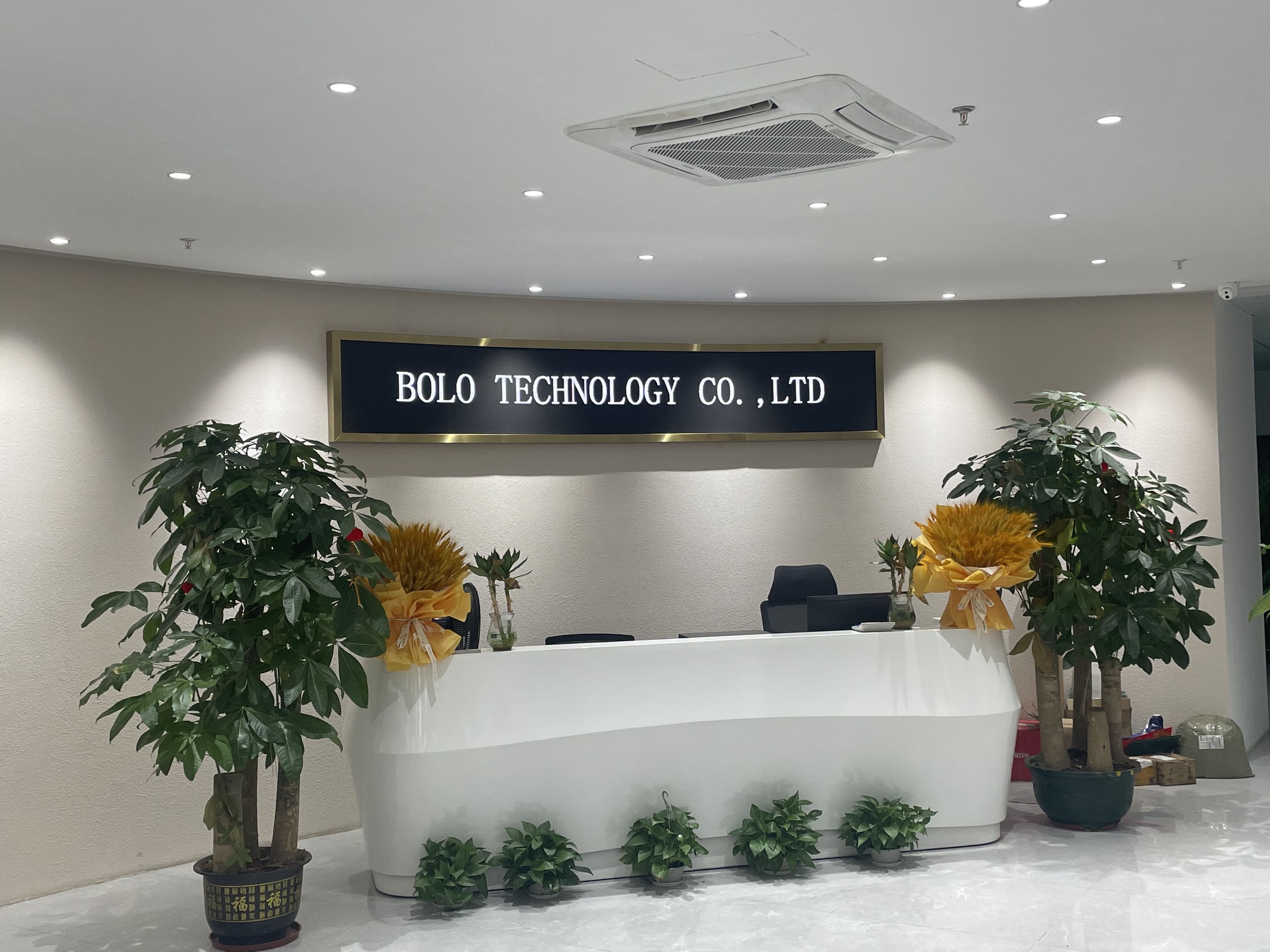 BOLO ——Professional LED Screen Manufacturer